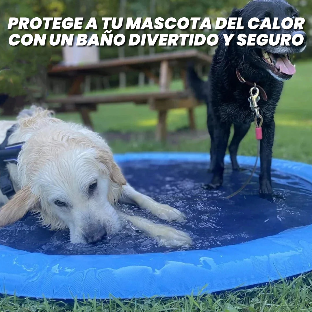 Piscina refrescante para mascotas - Splash Pool™