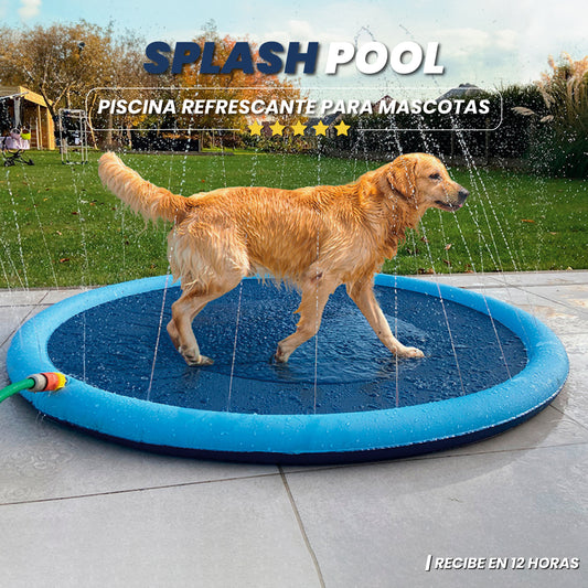 Piscina refrescante para mascotas - Splash Pool™