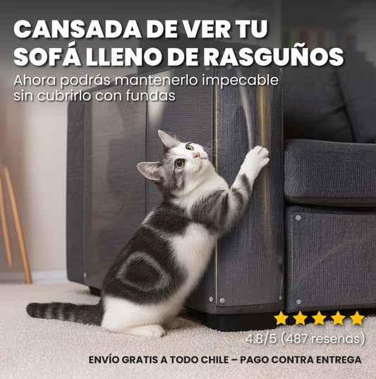 10 Protectores de sillones transparentes para rasguños - Cat Scratch™